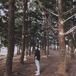 Alison Kuo - @alisonk1224 - Instagram