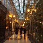 Alison Kwok - @kwok1364 - Instagram