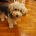 Alison Kwok - Facebook