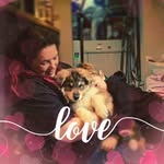 Alison Last - @lasty23 - Instagram