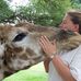 Alison Lawlor - Facebook