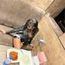 Alison Light - Facebook