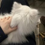 Alison Lin - Facebook