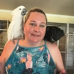 Alison Lovejoy - @sweetdivinegroove - Instagram