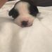 Allison Maddox - Facebook