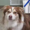 Allison Markham - @allison.markham8 - TikTok