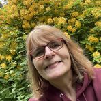 Alison Marlow - Facebook