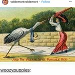 Alison McCabe - @mccabe.alison - Instagram