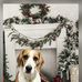 Allison Abraham McIsaac - Facebook