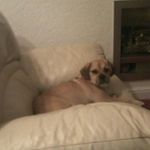 Alison Mckay - @alisonmckay04 - Instagram