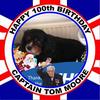 Alison Mckay - @alisonmckay2 - TikTok