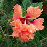 Alison McKay - @amkay5454 - Instagram