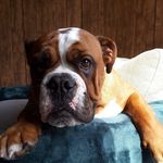 Alison McKay - @twosherrys - Instagram