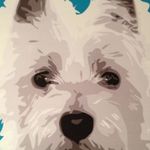 Alison McKay - @alison.mckay.311 - Instagram