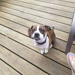 Alison Mckay - @alison.mckay.377 - Instagram