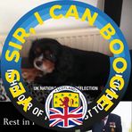 Alison Mckay - Facebook