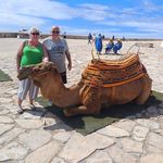 Alison Meehan - @meehan8424 - Instagram