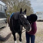 Alison Miles - @alisonmiles_dressage - Instagram
