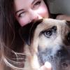 allison moll - @allisonmoll - TikTok