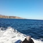 Alison Morin - @alisonmorin_ - Instagram