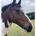 Alison Morley - Facebook