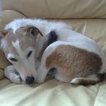 Alison Moss - @alison.moss.509 - Instagram