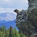 Alison S. - @alisonmountaingirl - Instagram
