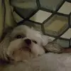 alisonnagy77 - @alisonnagy77 - TikTok