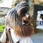 Allison Odom Gillespie - @allison_odom - Instagram