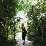Alison Palmer - @alison_palmer_ - Instagram
