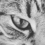 Alison Palmer - @ali_palmer1979 - Instagram