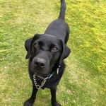 Alison Palmer - @alisonpalmer647 - Instagram