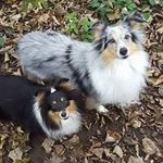 Alison Parry - @alisonparry09 - Instagram