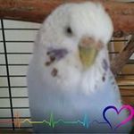 Alison Parry - @pegasuscapricorn - Instagram