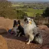 Alison Parry - @alisonparry090969 - TikTok