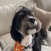 Allison Patel - @allisonlpatel - TikTok