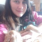 Alison Patrick - @alison.patrick.378 - Instagram