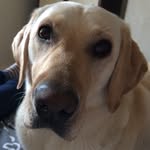 Alison Patterson - @alisonpatterson9399 - Instagram
