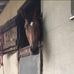 Alison Pickering - Facebook