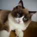 Alison Pinto - Facebook