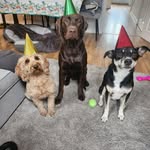 Alison Read - @al_graeme71 - Instagram