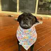 alisonread93 - @roxy9393 - TikTok