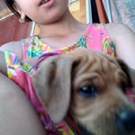 Alison Roa - @alison.roa.129 - Instagram
