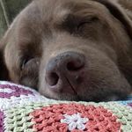 Alison Robson - @alison.robson.9 - Instagram