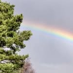 Alison Sanderson - @alisonsanderson15 - Instagram