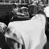Allison Slone - @allison.slone7 - TikTok