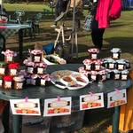 Alison Southwell - @alison.southwell - Instagram