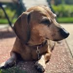 Alison Specht - @alisonspecht - Instagram