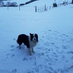 alison spratt - @sp.alison - Instagram