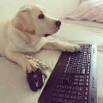 ALISON - @alisonsquire.96 - Instagram